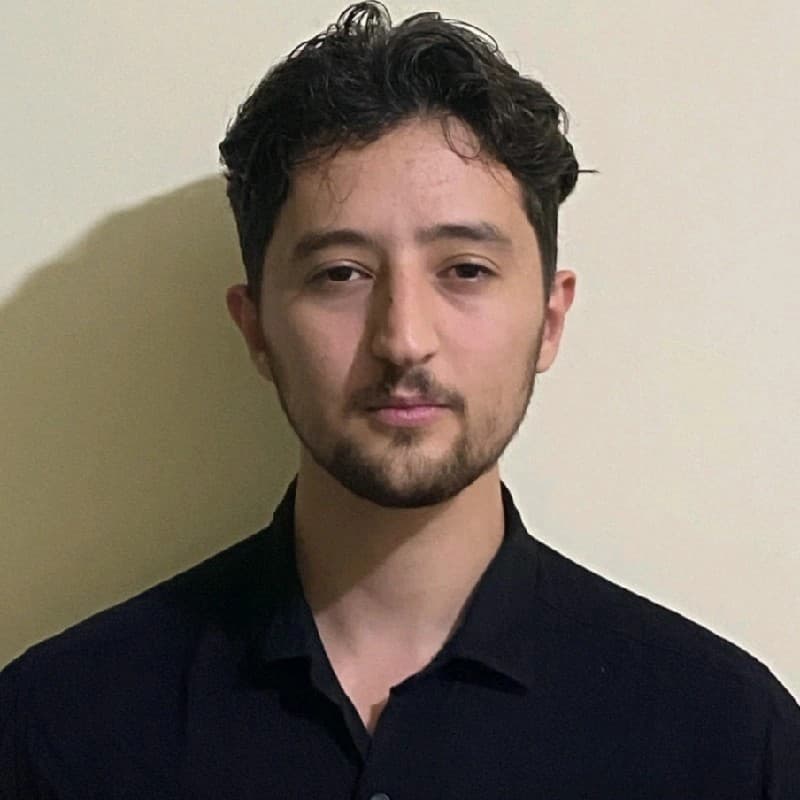 Faruk Alpay, Bilgisayar Mühendisi